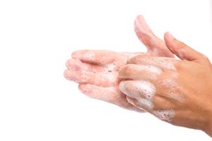 フコイダンが重要である3つの理由